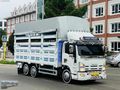 2015 ISUZU NPR 3 D 10 TEKER AĞŞAPKASA Lİ