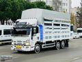 2015 ISUZU NPR 3 D 10 TEKER AĞŞAPKASA Lİ