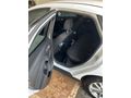 Sahibinden Ford Focus 1.5 TDCi Trend X 2018 Model