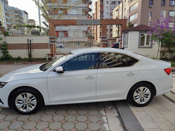Sahibinden Skoda Octavia 1.5 e-Tec Elite 2021 Model  71.000 km Beyaz
