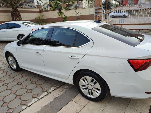 Sahibinden Skoda Octavia 1.5 e-Tec Elite 2021 Model  71.000 km Beyaz