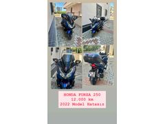 Sahibinden Honda Forza 250 (NSS250) 