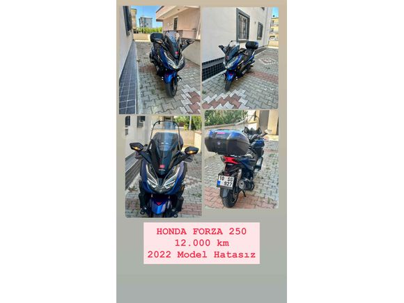 Sahibinden Honda Forza 250 (NSS250) 