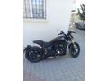 Sahibinden Regal Raptor Pilder 250 Ankara