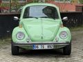 RESTARASYONLU 1974 FISTIK WOS WOS