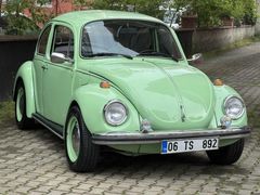 RESTARASYONLU 1974 FISTIK WOS WOS