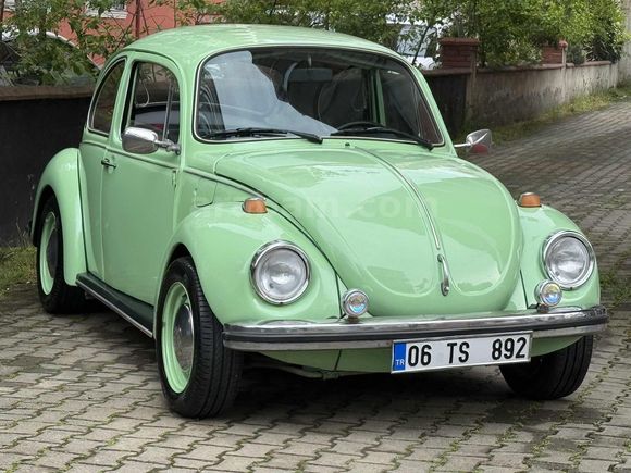 RESTARASYONLU 1974 FISTIK WOS WOS