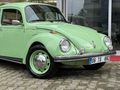 RESTARASYONLU 1974 FISTIK WOS WOS