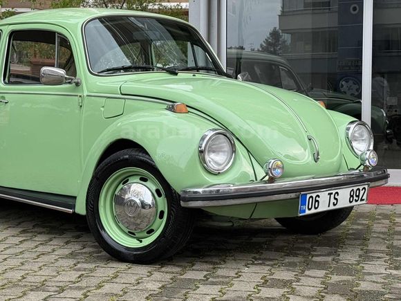 RESTARASYONLU 1974 FISTIK WOS WOS