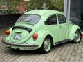 RESTARASYONLU 1974 FISTIK WOS WOS