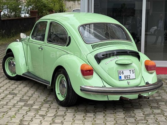 RESTARASYONLU 1974 FISTIK WOS WOS