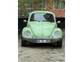 RESTARASYONLU 1974 FISTIK WOS WOS