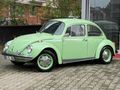 RESTARASYONLU 1974 FISTIK WOS WOS