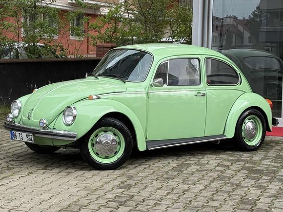 RESTARASYONLU 1974 FISTIK WOS WOS