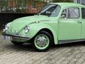 RESTARASYONLU 1974 FISTIK WOS WOS