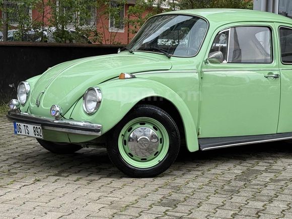 RESTARASYONLU 1974 FISTIK WOS WOS
