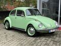 RESTARASYONLU 1974 FISTIK WOS WOS