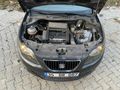 Sahibinden Seat Ibiza 1.4 Elegance 2009 Model İzmir