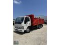 CİHAT TAN 2007 İSUZU NOR 10 TEKER DAMPERLİ HATASIZ