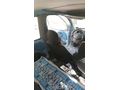 Sahibinden Fiat Doblo Combi 1.3 Multijet Active 2005 Model