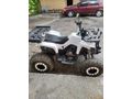Sahibinden ATV & UTV Revolt RA5