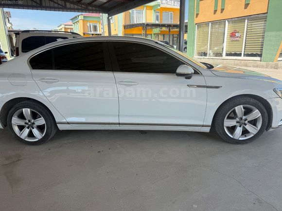 avize autodan temiz passat