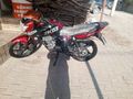 Sahibinden Kuba TK 03