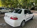 2006 ALBEA 1.3 - K.KARTINA 12 TAKSİT -