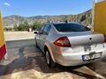 ÇİÇEK PAKET MEGANE DERTSİZ PAKET