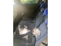 Sahibinden Opel Vectra 2.0 CD 1997 Model 