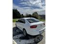 Sahibinden Seat Toledo 1.6 TDI Style 2015 Model 