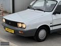 BOZ'DAN 1996 RENAULT R12 TOROS