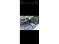 Sahibinden Fiat Tipo 1.6 S 1995 Model Bursa
