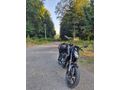 Sahibinden CFmoto 250NK 