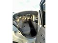 Sahibinden Nissan Micra 1.2 Match 2015 Model