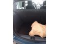 Sahibinden Opel Corsa 1.3 CDTI Enjoy 2012 Model