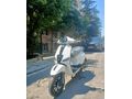 Mondial 50 Wing (80cc)