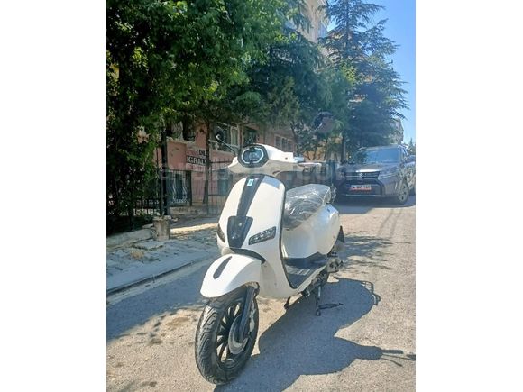 Mondial 50 Wing (80cc)