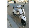 Mondial 50 Wing (80cc)