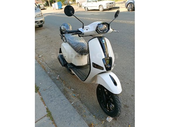 Mondial 50 Wing (80cc)