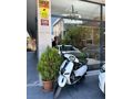 Mondial 50 Wing (80cc)