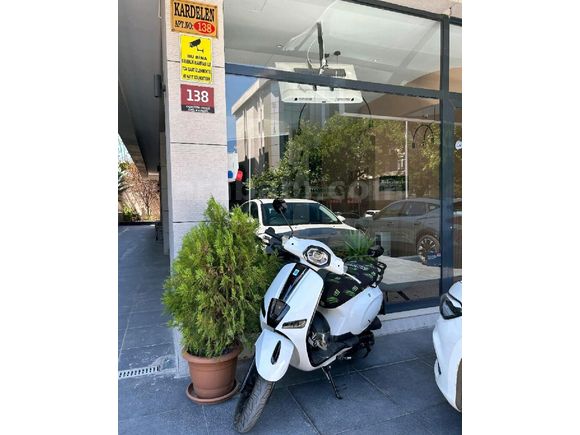 Mondial 50 Wing (80cc)