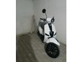 Mondial 50 Wing (80cc)