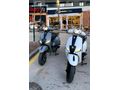 Mondial 50 Wing (80cc)