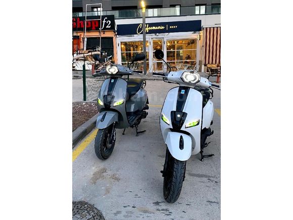 Mondial 50 Wing (80cc)