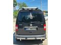 15 YILLIK SAHİBİNDEN TEMİZ KEDİ