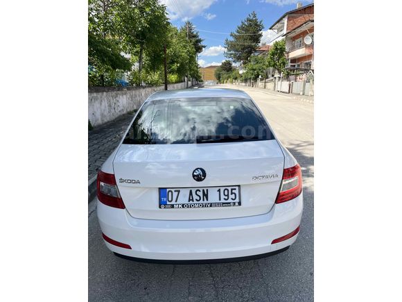 Öğretmenden temiz octavia