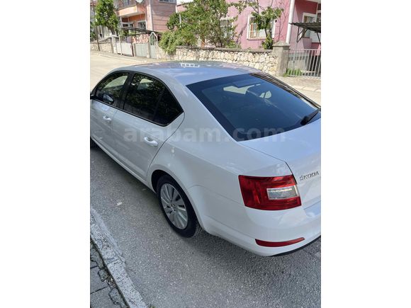 Öğretmenden temiz octavia
