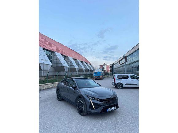Selenyum gri 408gt