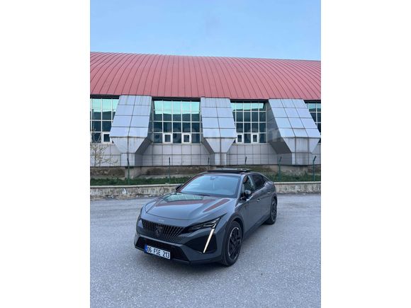 Selenyum gri 408gt